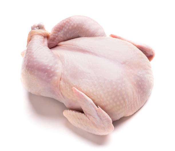Vlees en petfood: gevogelte op een witte achtergrond