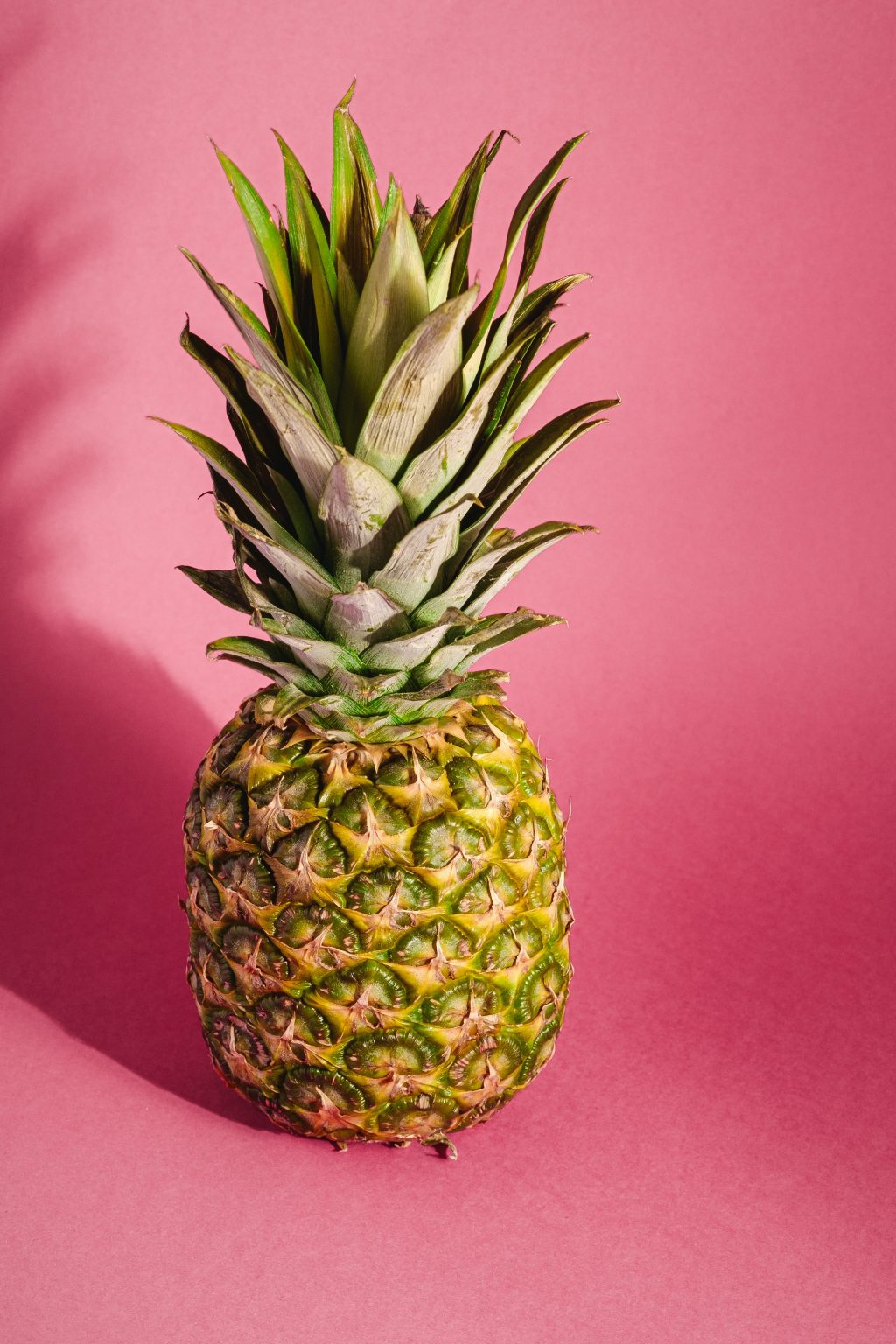 Over Mondial Food Solutions: staande ananas op roze achtergrond